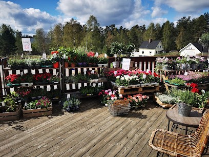 Mullsjö Blomsterverkstad AB, Florist i Mullsjö