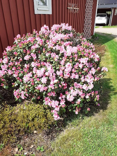 Monicas Trädgård, Florist i Lidhult