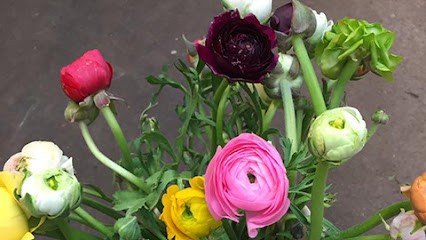 Hemblomster, Florist i Lysekil