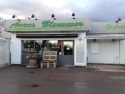 Åsens Blommor AB, Florist i Mönsterås