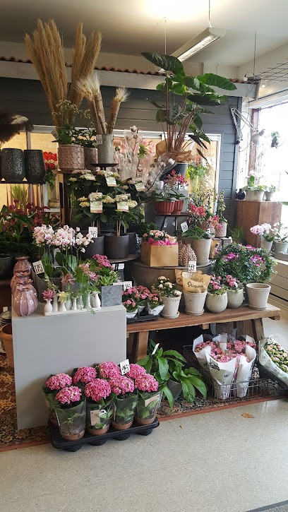Blommor & Blad i Göinge, Florist i Broby