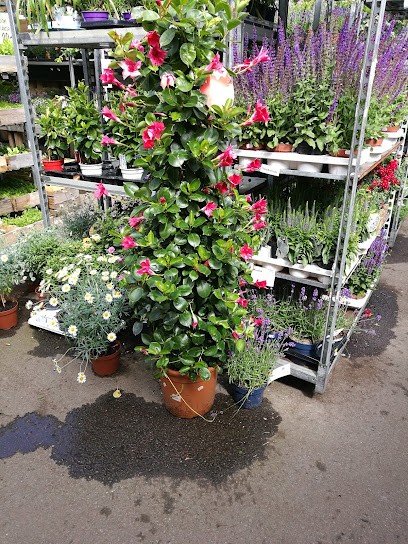 Strand Blomman På Öckerö AB, Florist i Öckerö