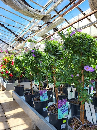 Maki Blommor AB, Florist i Järfälla