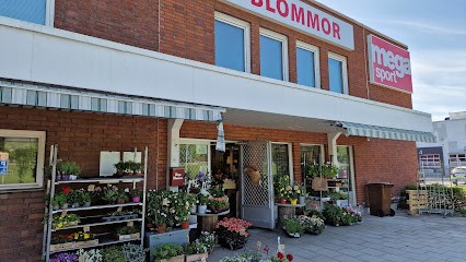 Mega Blommor, Florist i Örebro
