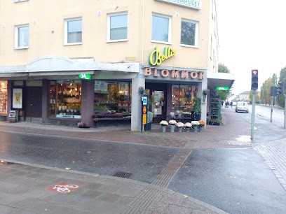 Olles Blommor I Falköping AB, Florist i Falköping