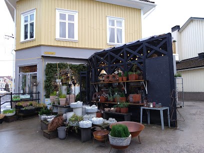 Boutique Violen CM AB, Florist i Falköping