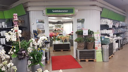 Blomsterlandet In Torslanda, Florist i Torslanda