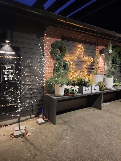 Fritz Blommor AB, Florist i Halmstad