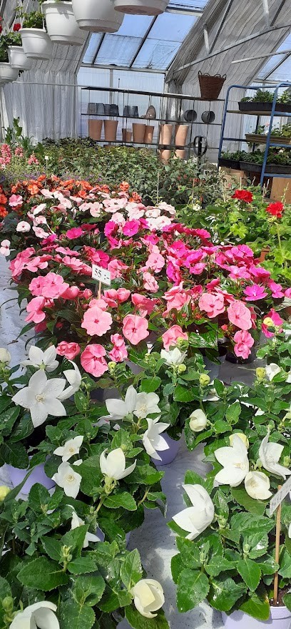 Hidingebro Handelsträdgård, Florist i Fjugesta