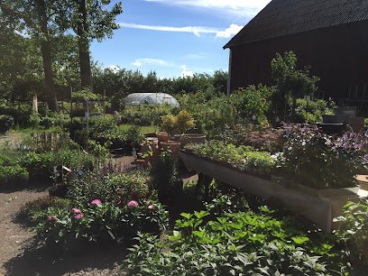 Väla Trädgårdar, Florist i Ödakra