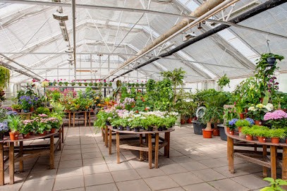 Mölltorps Växtinredningar AB, Florist i Mölltorp