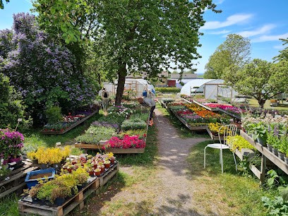 Lotties Blommor, Florist i Degerhamn