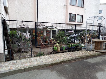 Ängens Blommor, Florist i Söderköping