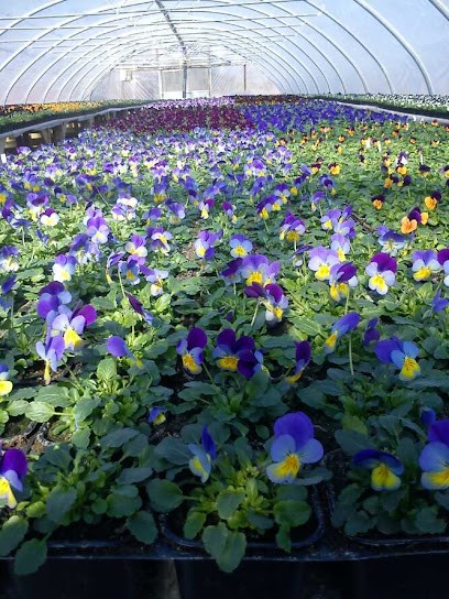 Håkes Blommor, Florist i Söderhamn
