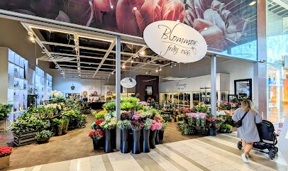 Blommor från oss Väla, Florist i Ödakra