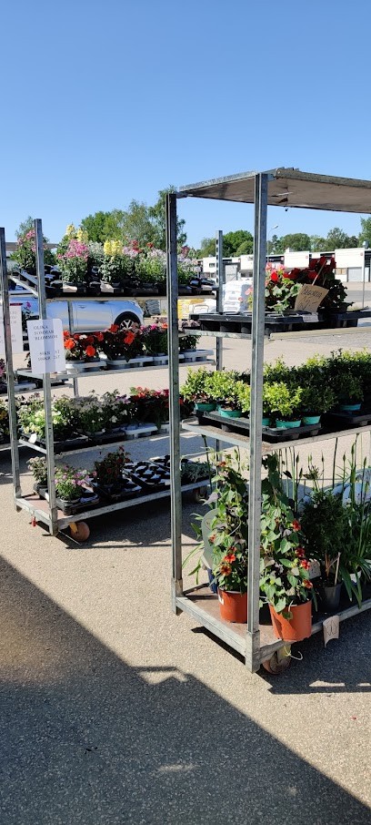 Älmhults Fröhandel AB, Florist i älmhult