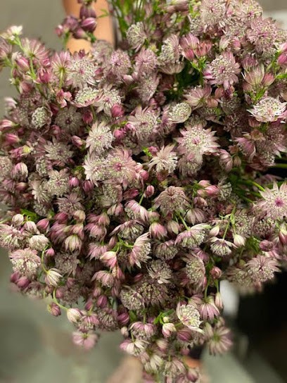 Åre Flooweri's, Florist i Åre