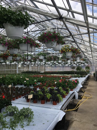 AB Lennart Johanssons Handelsträdgård, Florist i Ryd
