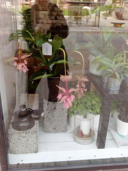 Tess Blommor Kopparberg, Florist i Kopparberg