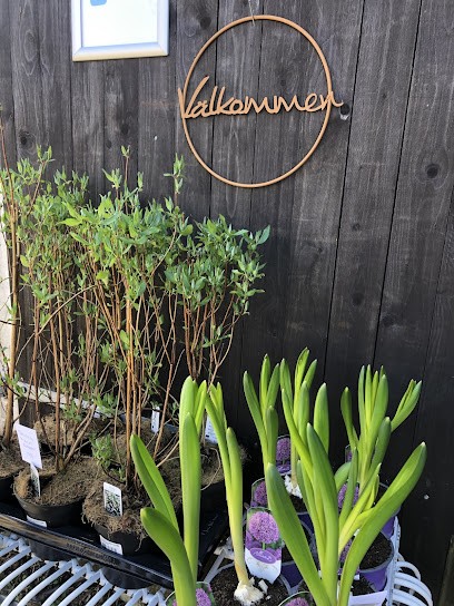 Blomstermyran, Florist i Tollarp