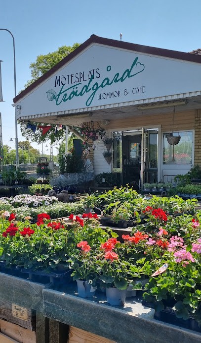 Långedrag Mötesplats Trädgård Blommor & Café AB, Florist i Västra Frölunda
