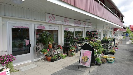 Lilla Fröken Blomster AB, Florist i Vilhelmina