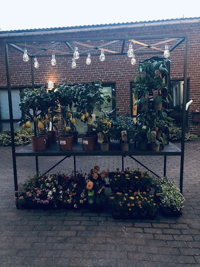 Blommor Från Oss Halmstad, Florist i Halmstad
