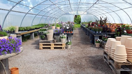 Solhöjdens Handelsträdgård HB, Florist i Läckeby