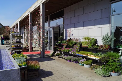 Maritas Blomsterglädje, Florist i Höganäs