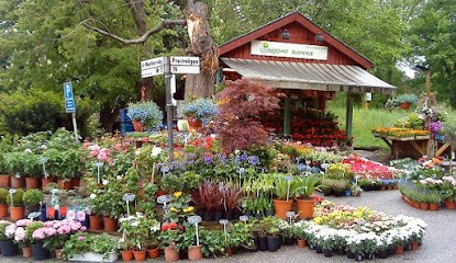 Lundqvist Blommor, Florist i Solna