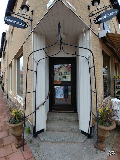 Centrumblommor i Malung AB, Florist i Malung