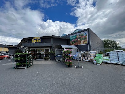 Blomsterlandet Hässleholm, Florist i Hässleholm