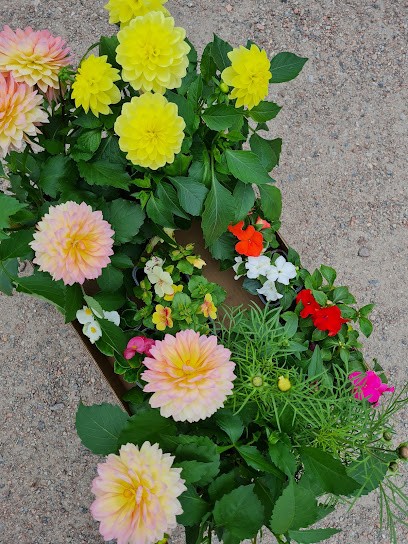 Matfors Trädgård AB, Florist i Matfors