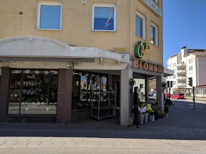 Bellis Blomsterhandel, Florist i Falköping