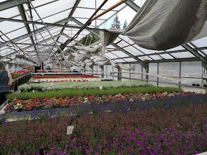 Norbyviken Handelsträdgård, Florist i Gästrike-Hammarby