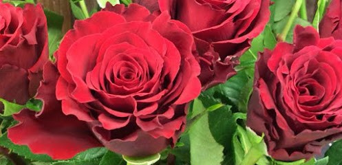 Blomsterfröknarna J&M, Florist i Kvissleby