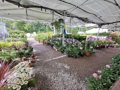 Malmby blommor, Florist i Strängnäs