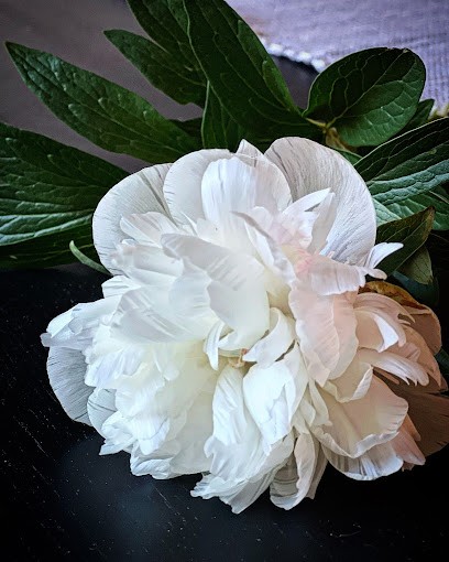 Steinstö Trädgård, Florist i Ulricehamn