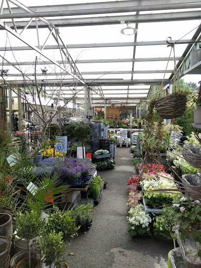 Nya Mästers Handelsträdgård I Götene AB, Florist i Götene