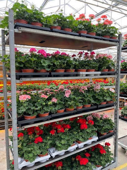 Alverbäcks Blommor AB, Florist i Ekerö