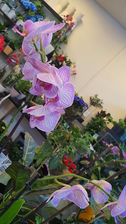 Interflora Södertälje, Florist i Södertälje