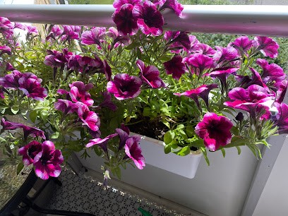 Blommehörnan i Gärsnäs, Florist i Gärsnäs