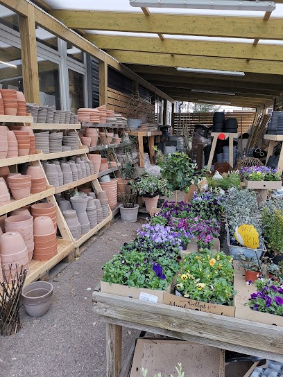 Växtriket i Nybro AB, Florist i Nybro