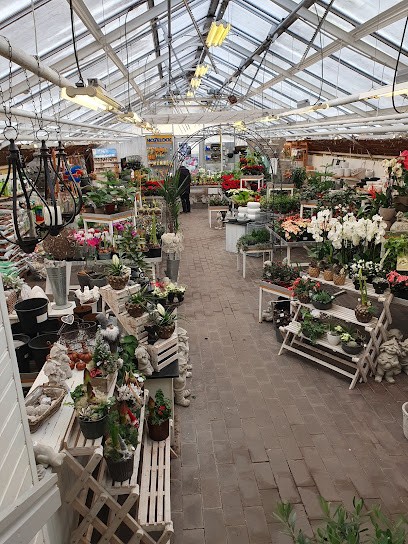 Trädgården i Alvesta AB, Florist i Alvesta