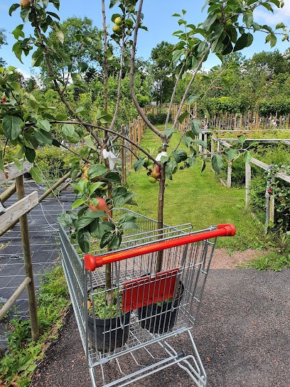 Oppmanna Plantskola, Florist i Arkelstorp