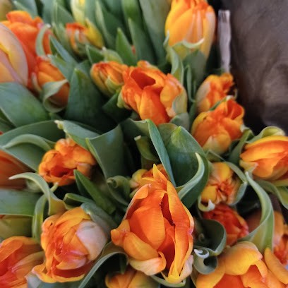 Antjes Blomsterverkstad, Florist i Steninge