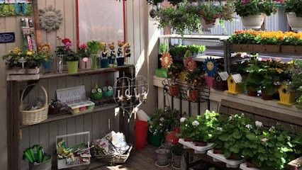 Fjäril i Säter, Florist i Säter