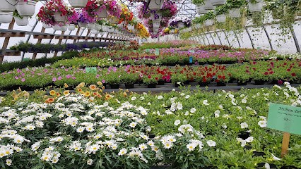 Lövdalens Handelsträdgård, Florist i Norrköping