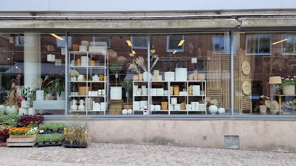 Blohms Blommor & Inredning, Florist i Ulricehamn